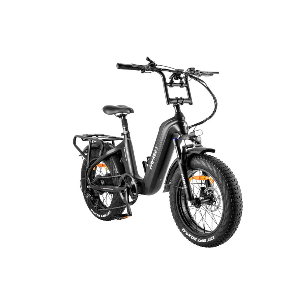 312-Fafrees F20 Master E-Bike