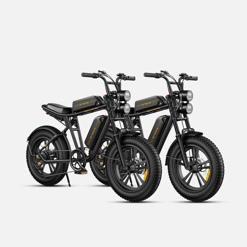 130-ENGWE M20 Combo E-bike