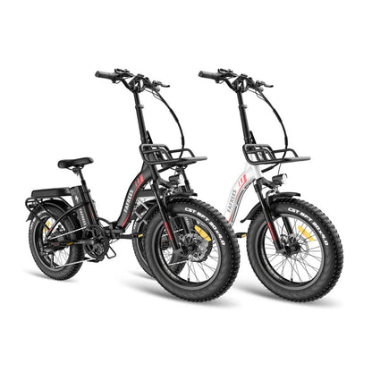 317-Fafrees Combo Sale F20 Max*2 E-bike
