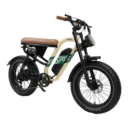 210-Onesport W66 Moped E-Bike