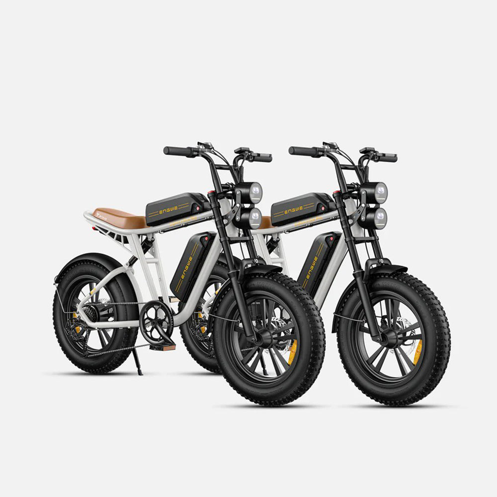 130-ENGWE M20 Combo E-bike