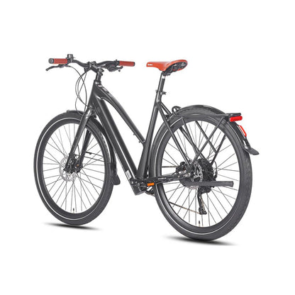 329-Fafrees F700W E-bike