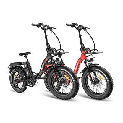 317-Fafrees Combo Sale F20 Max*2 E-bike