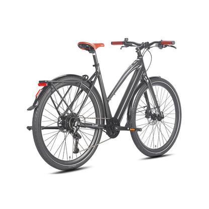 329-Fafrees F700W E-bike