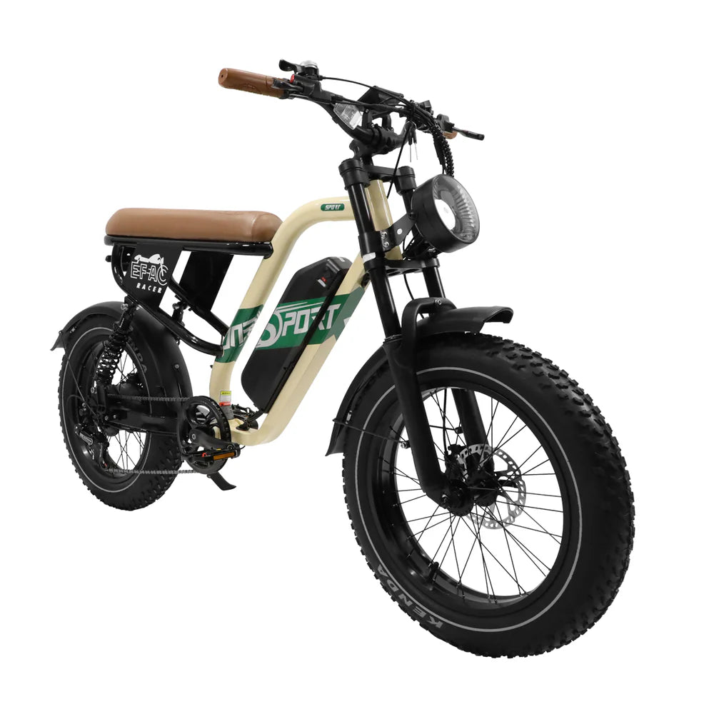 210-Onesport W66 Moped E-Bike