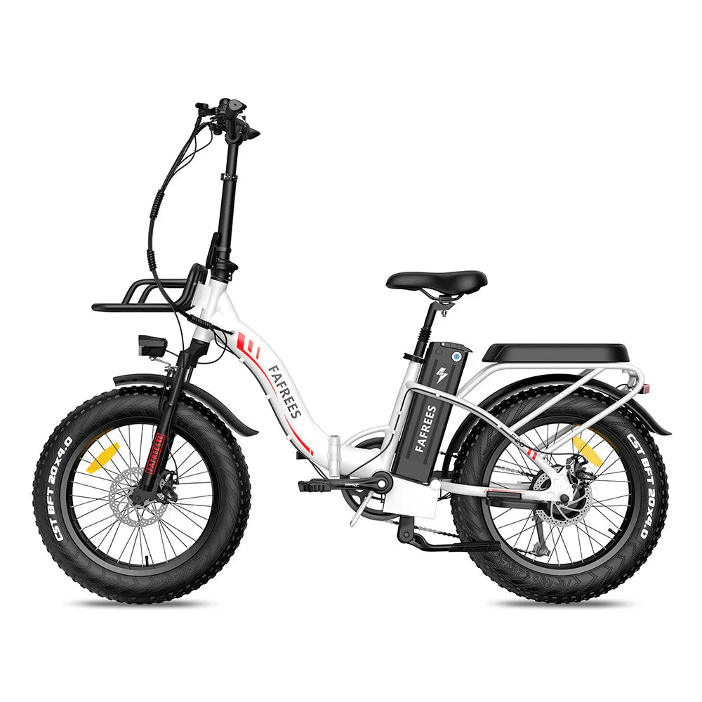 302-Fafrees F20 Max E-bike