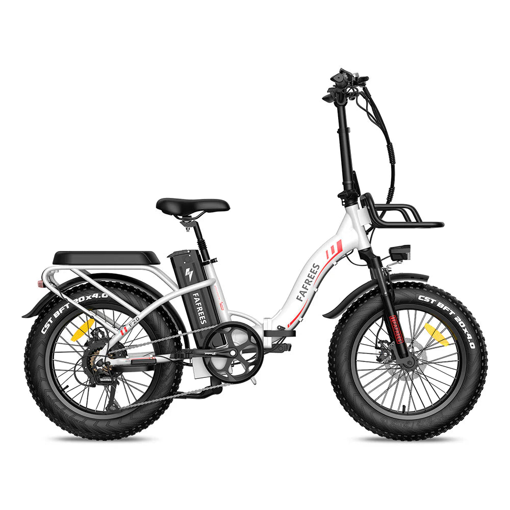 302-Fafrees F20 Max E-bike