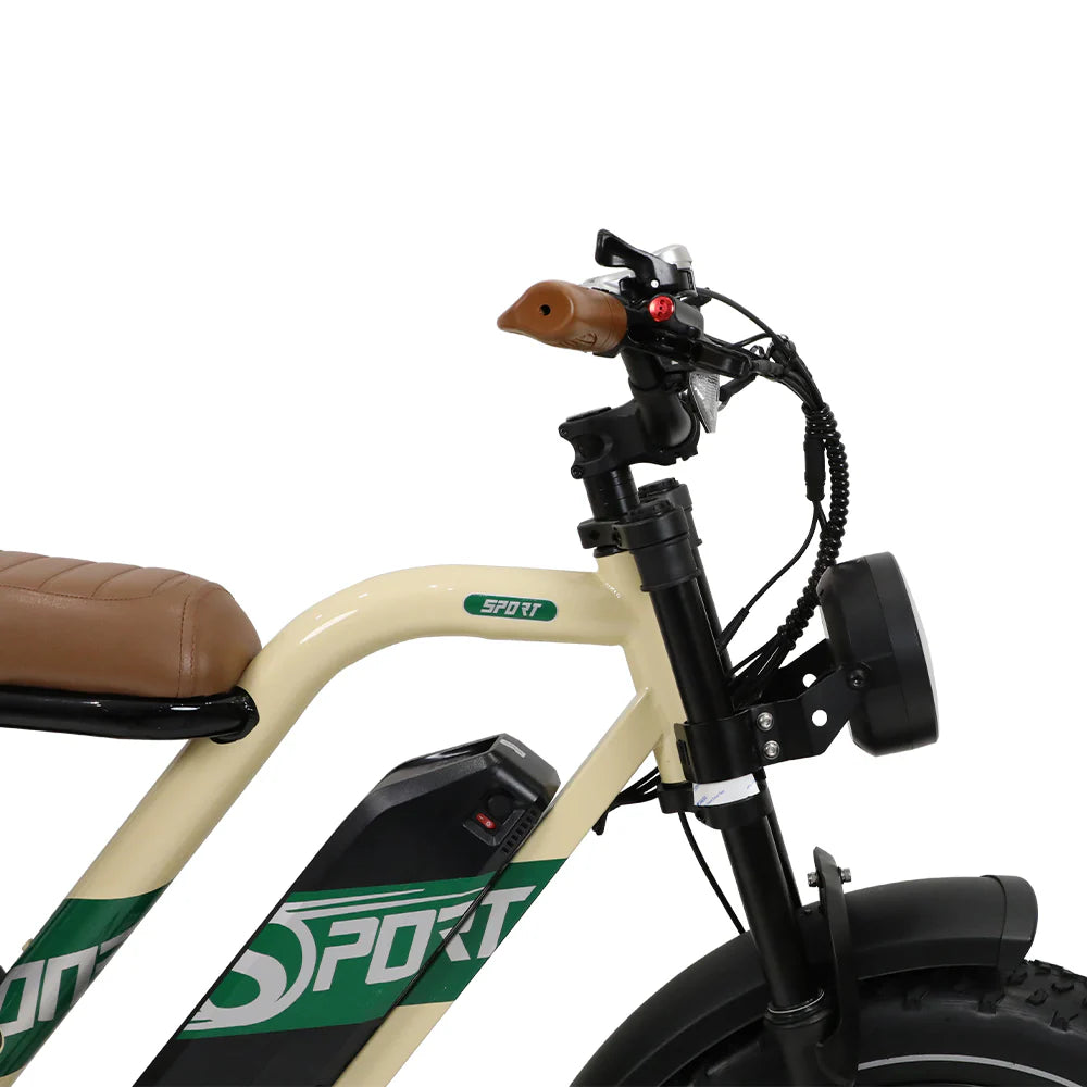 210-Onesport W66 Moped E-Bike