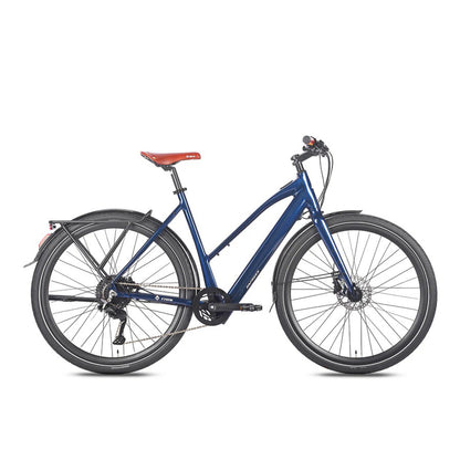 329-Fafrees F700W E-bike