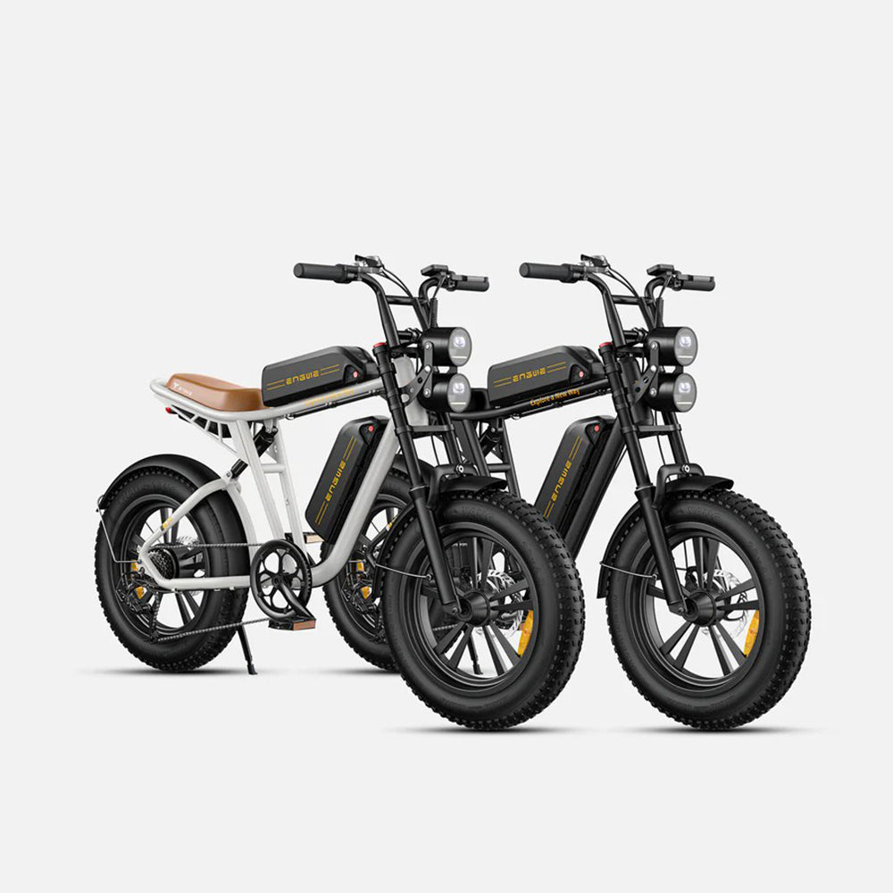 130-ENGWE M20 Combo E-bike