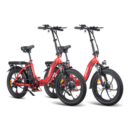 319-Fafrees Combo Sale F20*2 E-bike