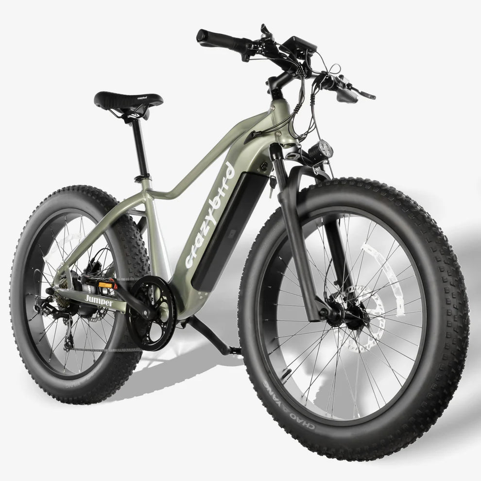 Crazybird Jumper/CB60 E-Bike