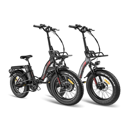 317-Fafrees Combo Sale F20 Max*2 E-bike