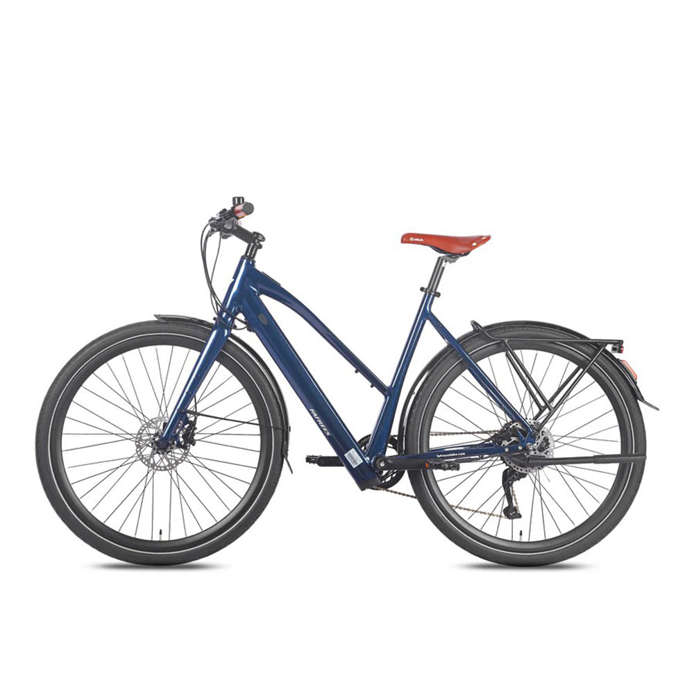 329-Fafrees F700W E-bike