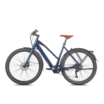 329-Fafrees F700W E-bike