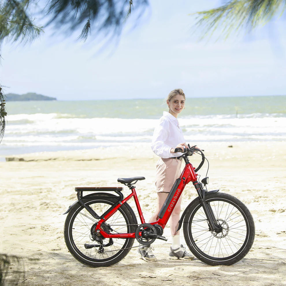 Crazybird Seta E-Bike