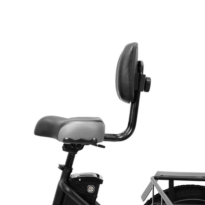 217-OneSport OT30 Electric Trike