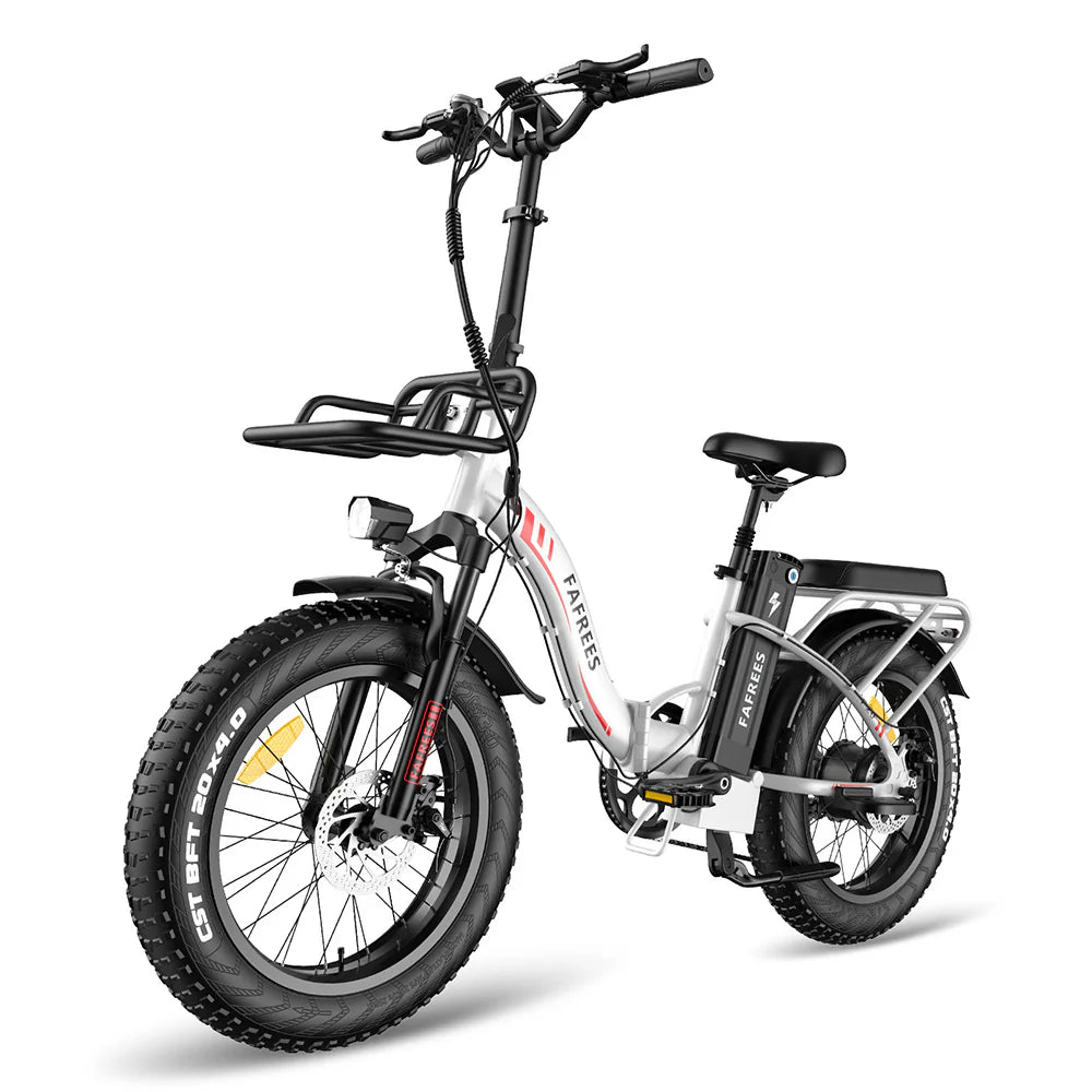 302-Fafrees F20 Max E-bike