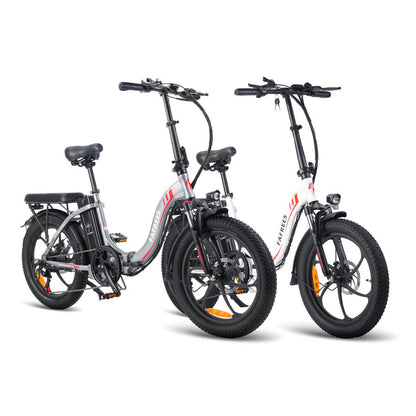 319-Fafrees Combo Sale F20*2 E-bike