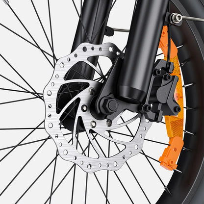 122-ENGWE L20 3.0 Boost E-bike