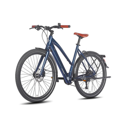 329-Fafrees F700W E-bike