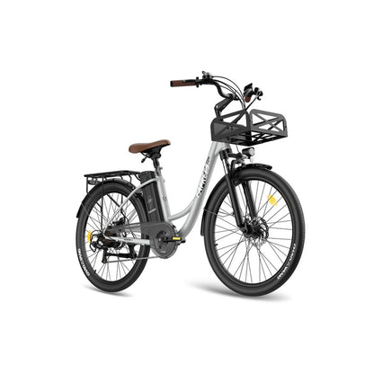 314-Fafrees F26 Lasting E-bike
