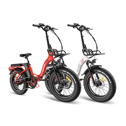 317-Fafrees Combo Sale F20 Max*2 E-bike