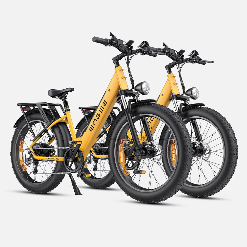 ENGWE E26 E-bike