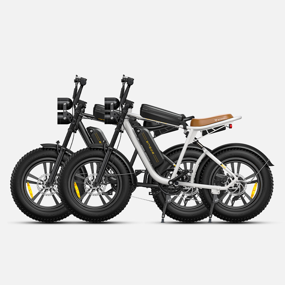 ENGWE M20 Max range150KM E-bike