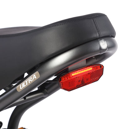 Fafrees F20 Ultra Robust Electric Ride E-bike