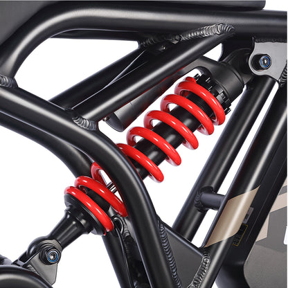 Fafrees F20 Ultra Robust Electric Ride E-bike